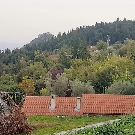 Luxury House In The Hills
